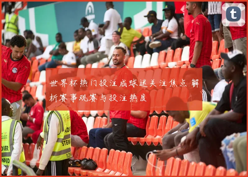 世界杯热门投注成球迷关注焦点 解析赛事观赛与投注热度