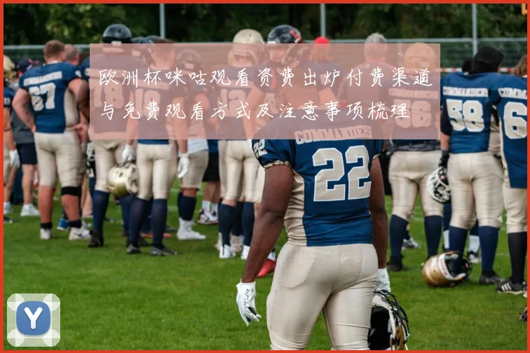 欧洲杯咪咕观看资费出炉付费渠道与免费观看方式及注意事项梳理
