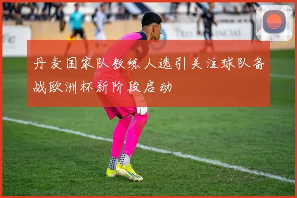 丹麦国家队教练人选引关注球队备战欧洲杯新阶段启动