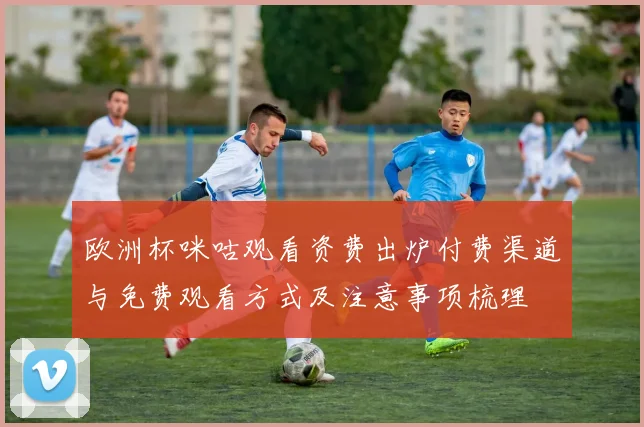欧洲杯咪咕观看资费出炉付费渠道与免费观看方式及注意事项梳理